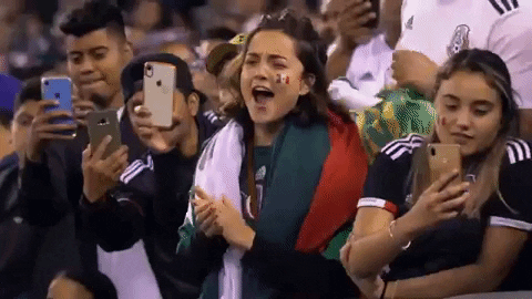 aficionada mexicana en el estadio alentando a México en el partido contra Alemania.- Blog Hola Telcel