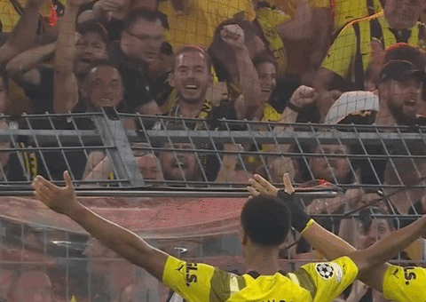 aficionados del Borussia celebrando con sus jugadores luego de dar una magnífica actuación en champions.- Blog Hola Telcel