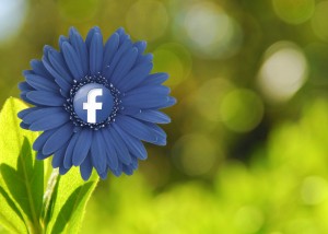 Facebook permite que los usuarios se identifiquen con las marcas