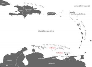 arosio 300x218 - Tadeo Arosio: diferencia entre los Roques y la isla la tortuga