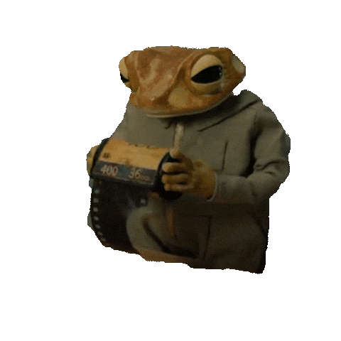 Sapo concho de Bad Bunny.- Blog Hola Telcel