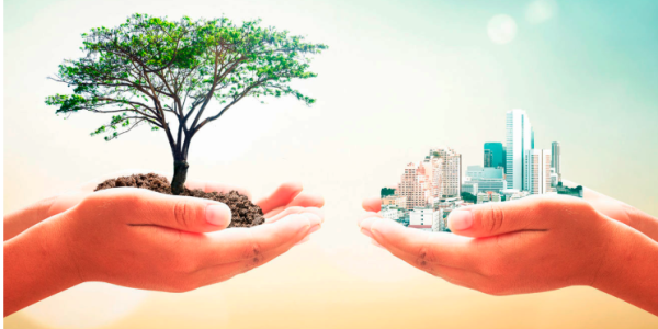 Hjalmar Jesús Gibelli Gómez | Qué Importancia Tiene la Ecología en Nuestro País (España)