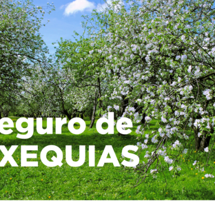 Más Allá del Último Adiós: Qué es un Seguro de Exequias y Por Qué Es una Inversión en Tranquilidad