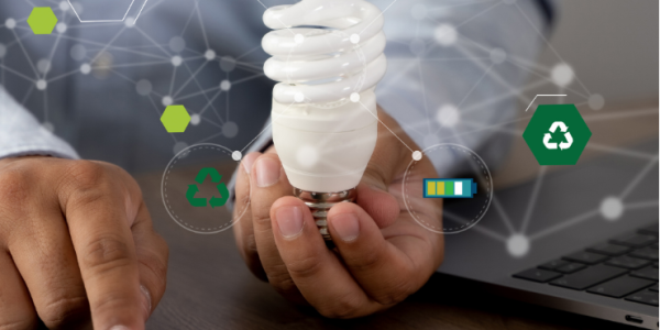 Más Allá del Algoritmo: Construyendo un Modelo de Negocio Sostenible como Creador de Contenido 