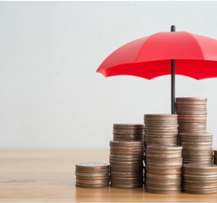 El Doble Propósito: Cómo Usar un Seguro de Vida como Herramienta de Inversión