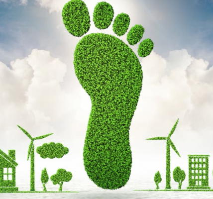 Claudio Antonio Ramirez Soto | El Carbono Oculto