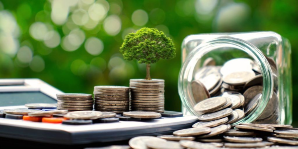 Carlos Alessandro Cestari Infantini | Finanzas Sostenibles