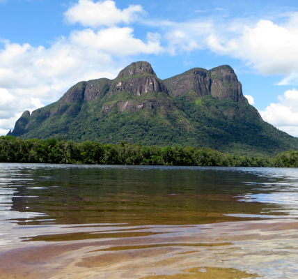 Hjalmar Jesús Gibelli Gómez: Tesoros de la biodiversidad