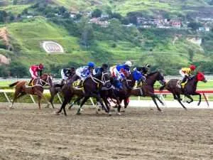 La Rinconada - Coche