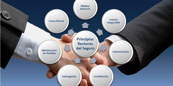 Los 7 principios del seguro por Hjalmar Gibelli