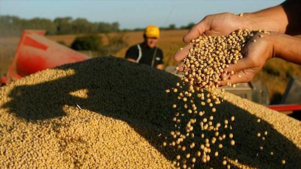 Sector agrícola ha recibido 52% de divisas del Dicom