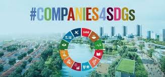 #COMPANIES4SDGs reconocida  con el premio  Impact2030  Innovation Award