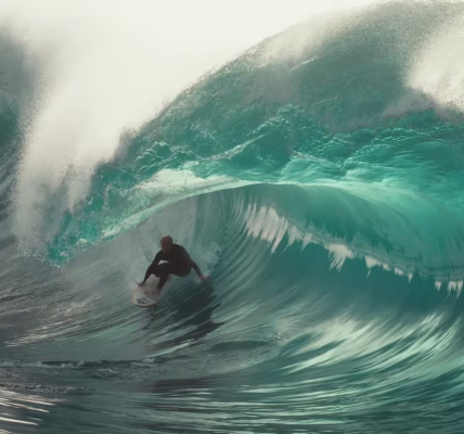 Alberto Constantino Konrad Davila | Océano Interno