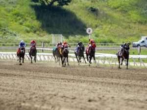 Caballos La Rinconada