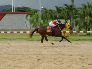 Ciudad de Valencia (Foto: inh)