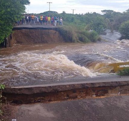 Puente - Apure