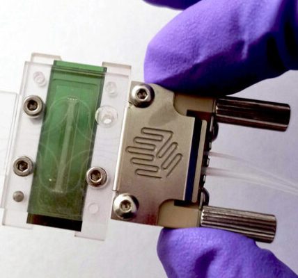Desarrollan minibiosensores para detectar el cáncer en minutos