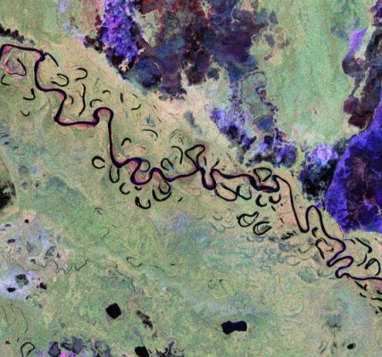 ESA revela imágenes de satélite que miden nivel de CO2 en bosques