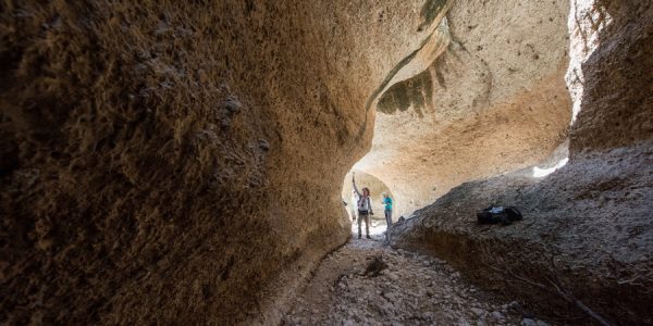 Fósiles muestran cómo la pesca transforma los arrecifes