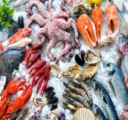 Francesco Lovaglio Tafuri - ¡Conócelos! ¡Top 10 ingredientes populares de la comida de mar! - FOTO