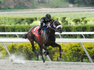 Gabriel Márquez y Jonathan Aray fueron los más destacados