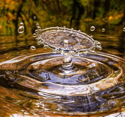 Gestión adecuada del agua – Fundación Yammine