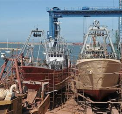 Gestión de riesgos en proyectos de la industria naval – Salar Ataie Bandari