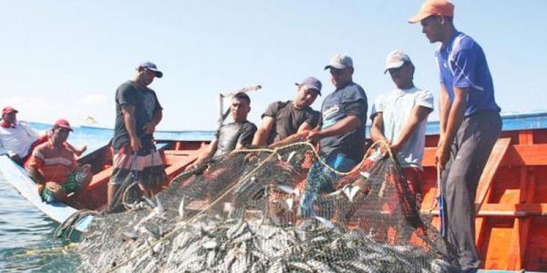 Guárico produce más de 4 mil toneladas de pescado