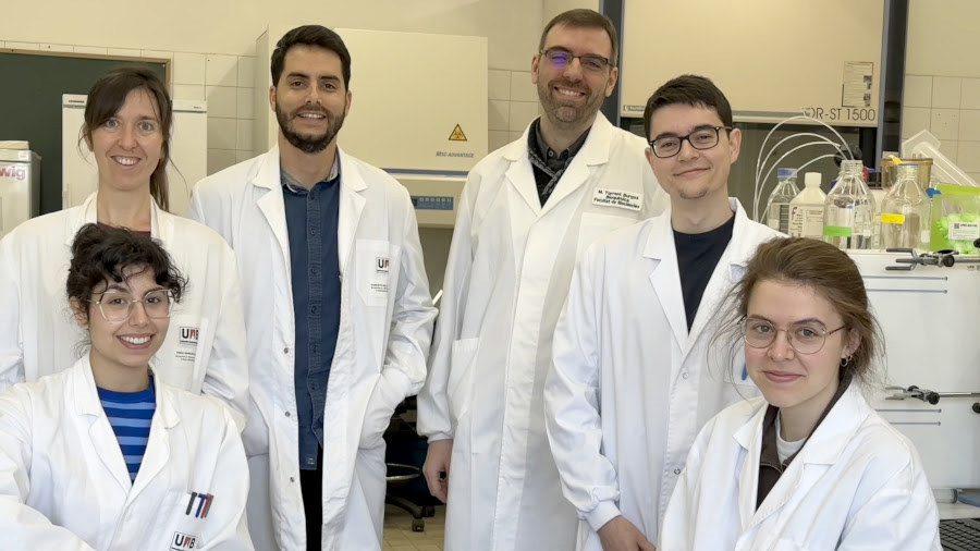 Identifican nueva fuente de antibióticos naturales dentro de las proteínas – El Sumario