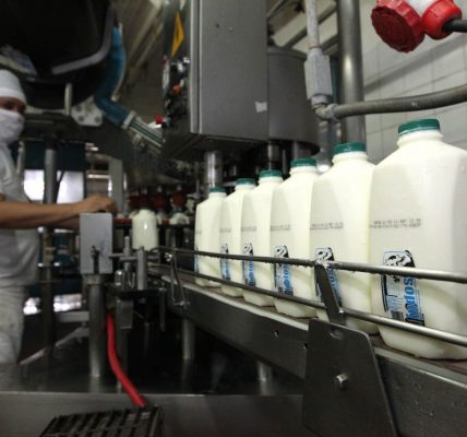 Industria láctea
