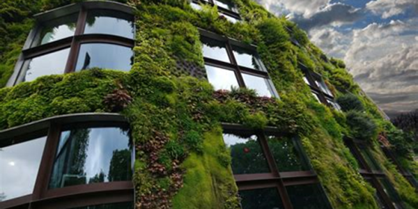 La sostenibilidad en la arquitectura moderna