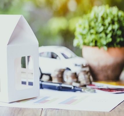 Ligia Carolina Gorriño Castellar - Renovación de seguros; Es momento de cambiar o de ser fiel - FOTO