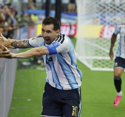El Sumario