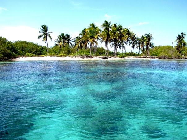 Lugar que garantiza la permanencia del paisaje manglar