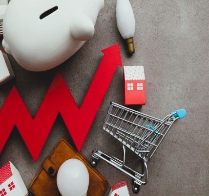 Luis Alberto Pérez González - Economía doméstica ¡Clave para una calidad de vida sostenible! - FOTO
