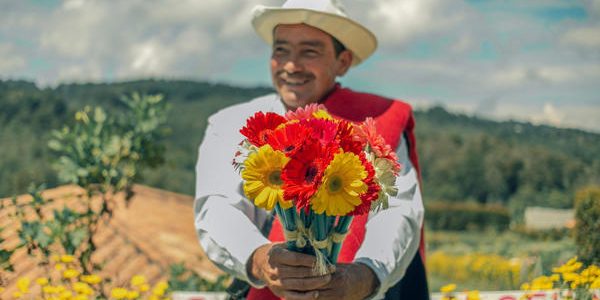 El Sumario