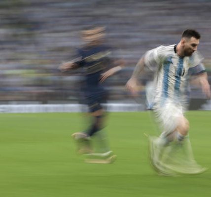 El Sumario