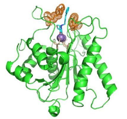 Nuevo antiviral contra el herpes doblega resistencia a los tratamientos