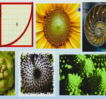 Oswaldo Karam Maciá - La magia de la sucesión de Fibonacci; El código secreto de la naturaleza - FOTO