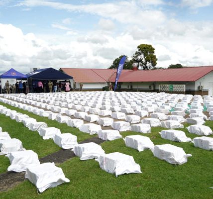 Incautación de droga en Panamá
