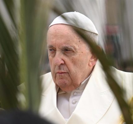 Papa Francisco - Domingo de Ramos 2023