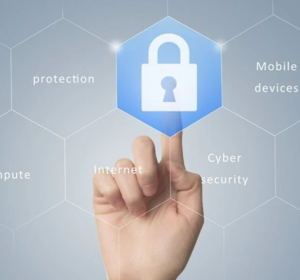 Rafael Eladio Nuñez Aponte | Blindaje Digital