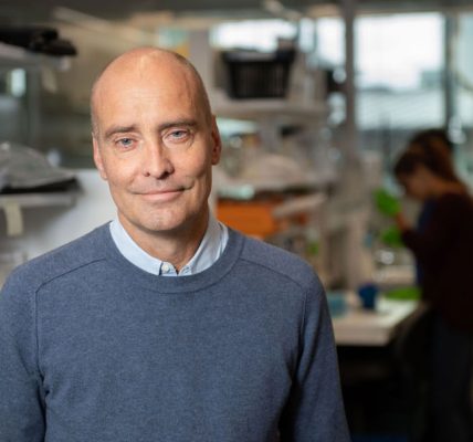 Revelan pruebas de que el cerebro forma neuronas nuevas toda la vida
