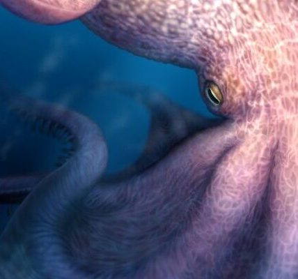 Revelaron que pulpos gigantes dominaron los mares durante el Cretácico