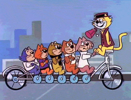 Películas de gatos en Claro video.- Blog Hola Telcel