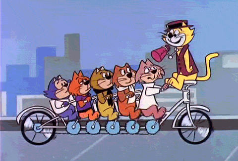 Películas de gatos en Claro video.- Blog Hola Telcel