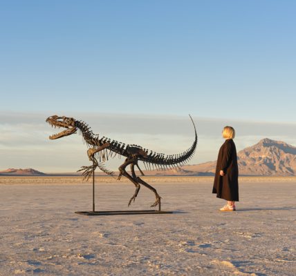 Subastarán un Ceratosaurus, único ejemplar de esta especie