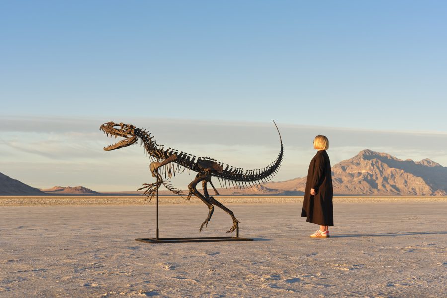 Subastarán un Ceratosaurus, único ejemplar de esta especie