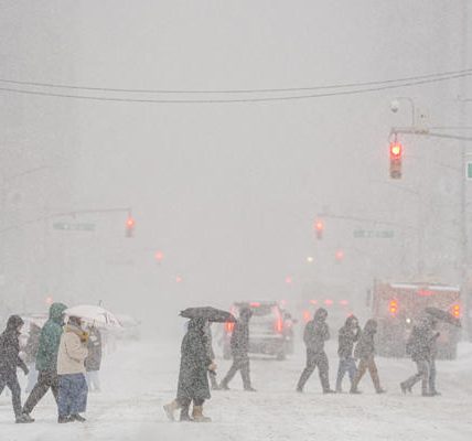 Tormenta de nieve y hielo