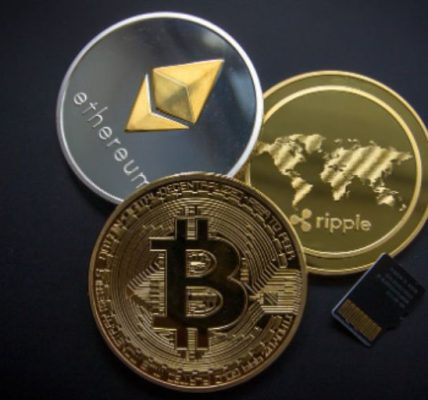 Cripto Venezuela Bitcoin, Ripple El Dorado Tamara Herrera USDT devaluación
